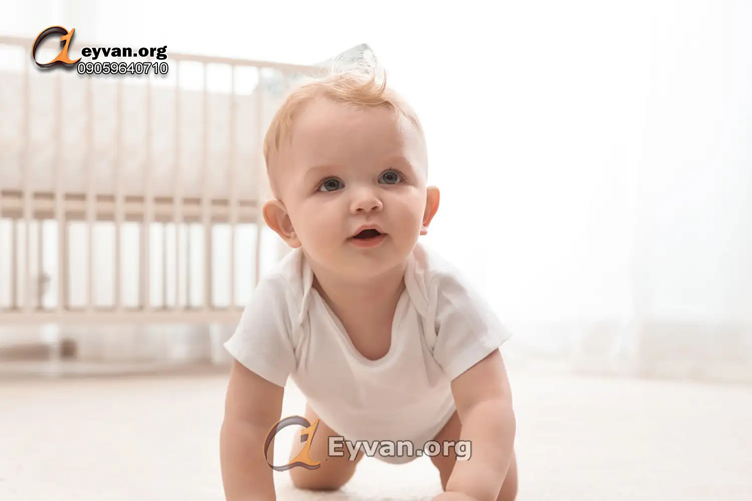 پارکت لمینت ضد حساسیت